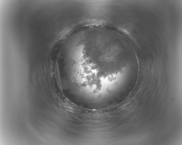 X0000066021399200603171520