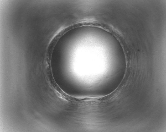 X0000066021400200603171520