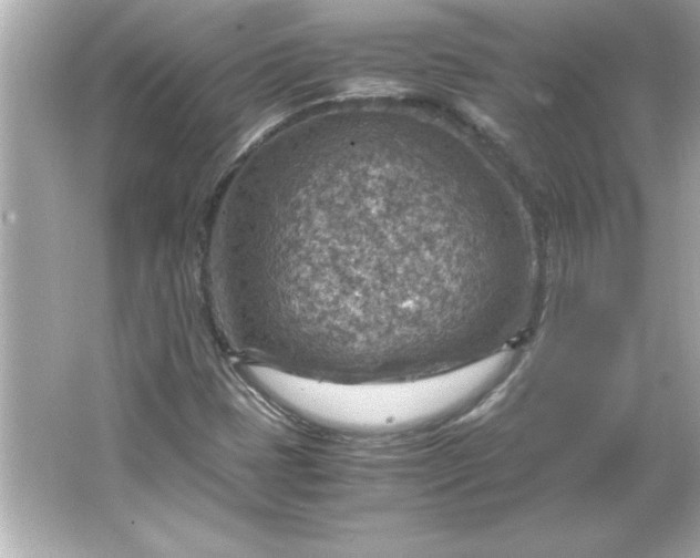 X0000066021401200603171520