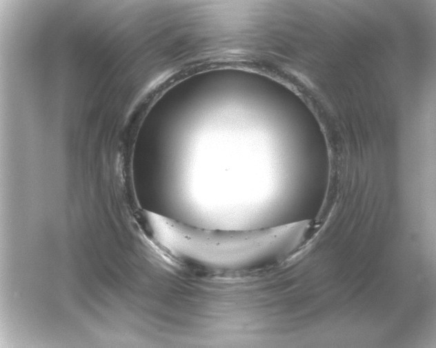 X0000066021402200603171520