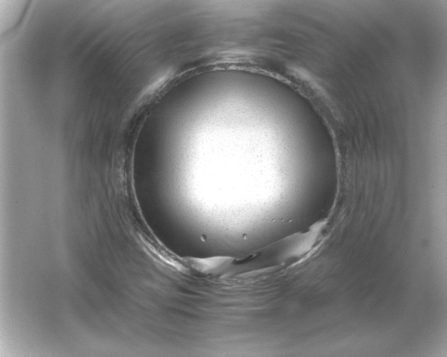 X0000066021403200603171520