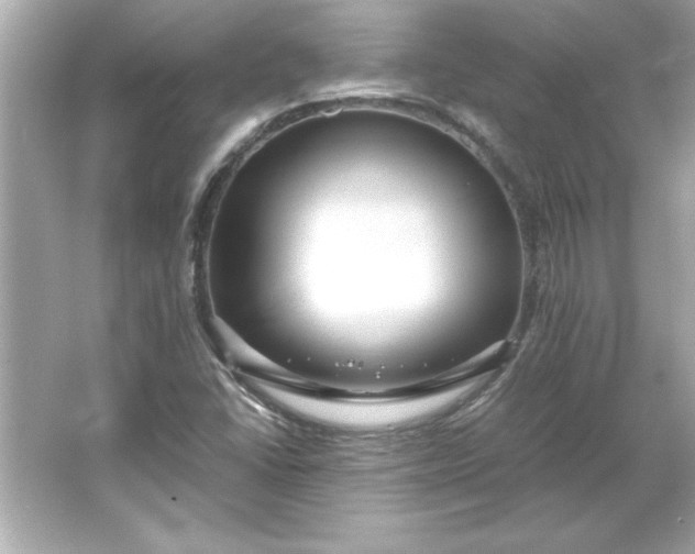 X0000066021406200603171520