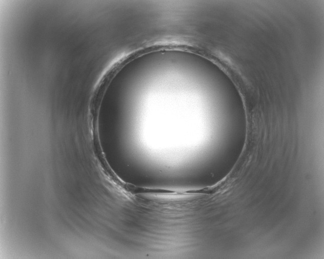 X0000066021408200603171520