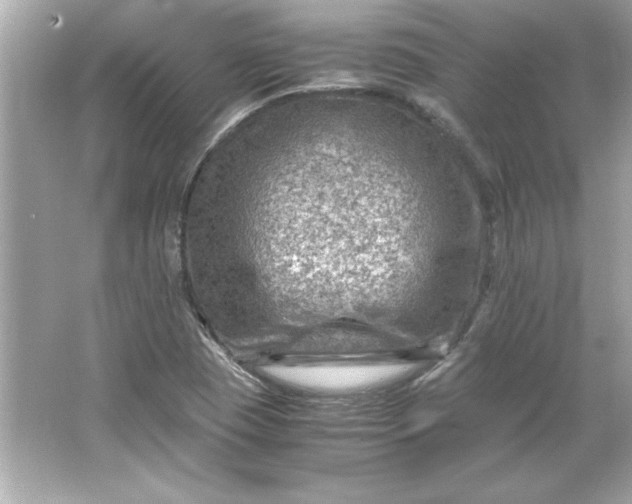 X0000066021409200603171520