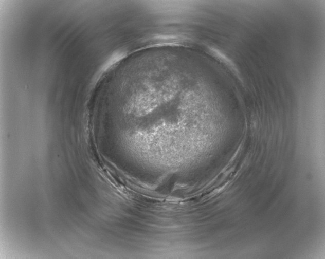 X0000066021411200603171520