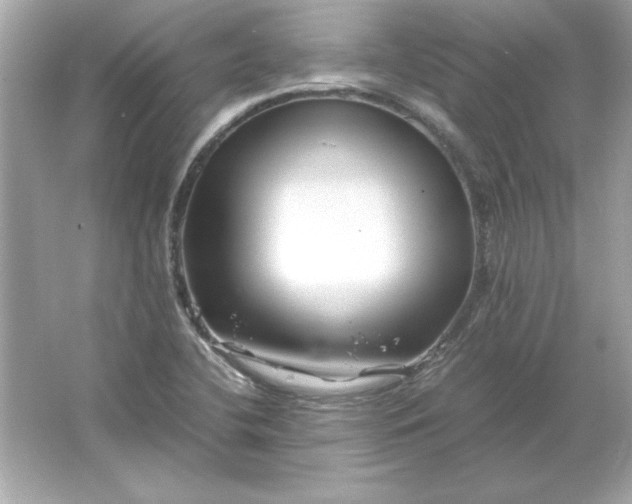 X0000066021412200603171520