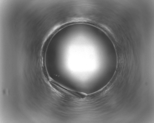 X0000066021414200603171520