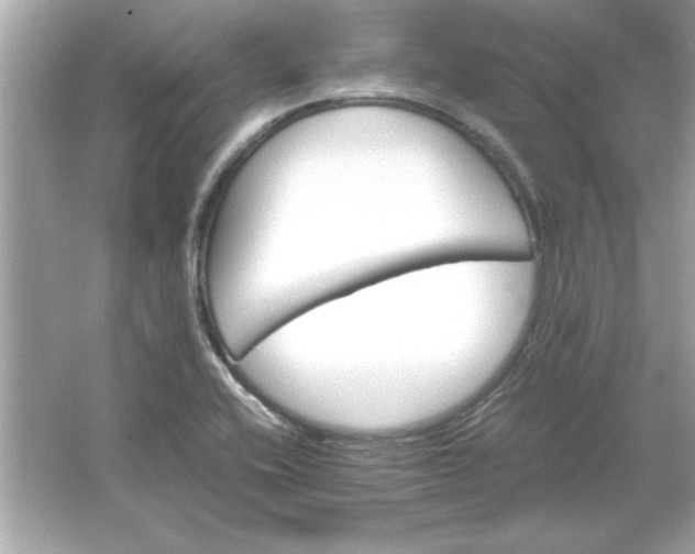 X0000066021416200603171520