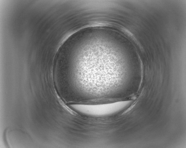 X0000066021417200603171520