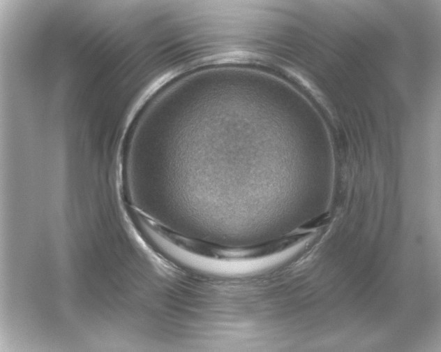 X0000066021418200603171520