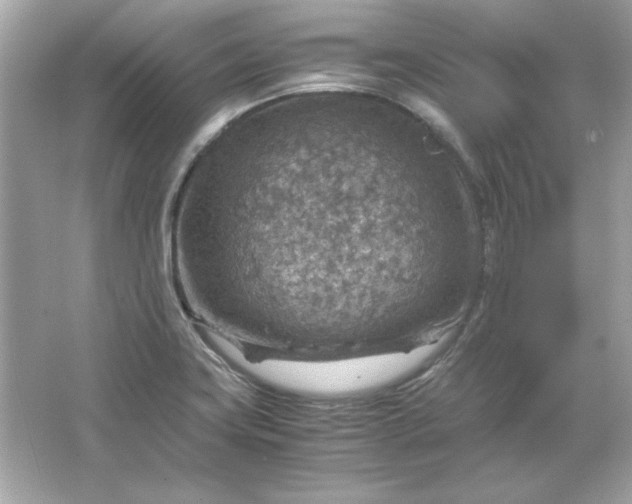 X0000066021419200603171520