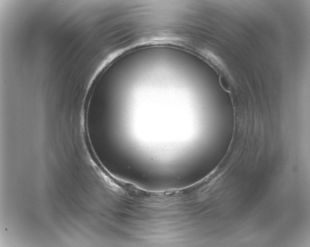 X0000066021420200603171520