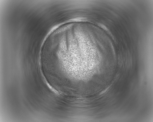 X0000066021421200603171520