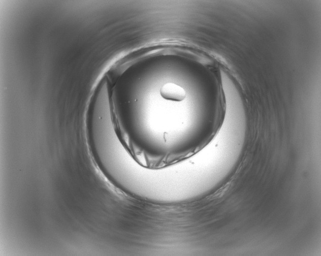 X0000066021422200603171520