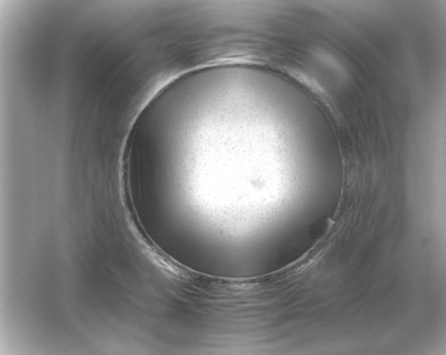 X0000066021423200603171520