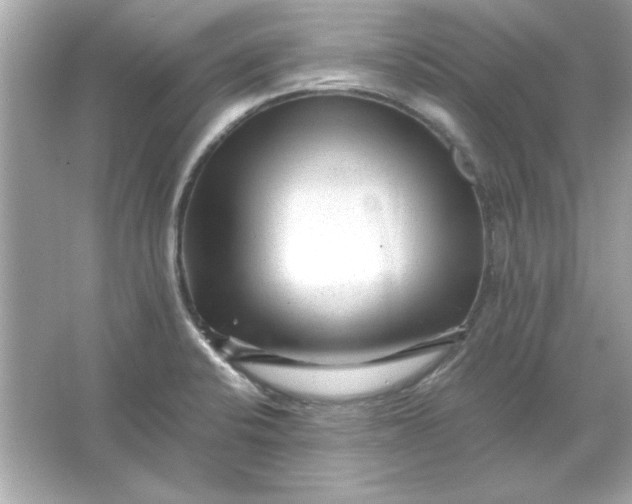 X0000066021424200603171520