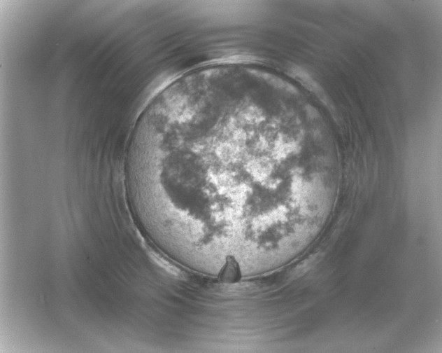 X0000066021425200603171520