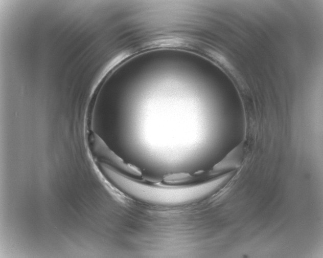 X0000066021426200603171520