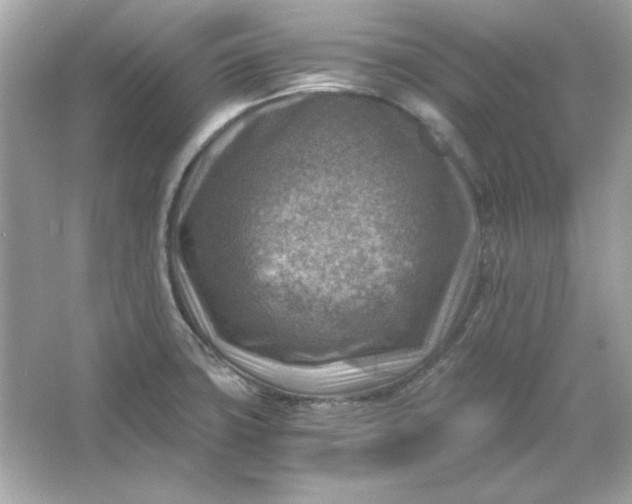 X0000066021427200603171520