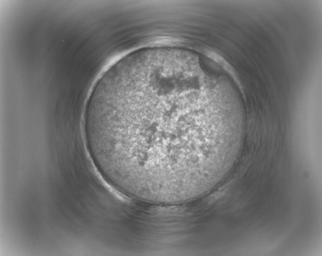 X0000066021429200603171520