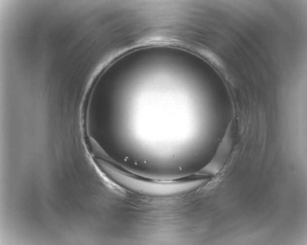 X0000066021430200603171520