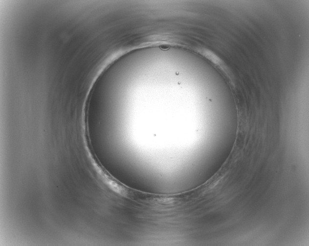 X0000066021431200603171520