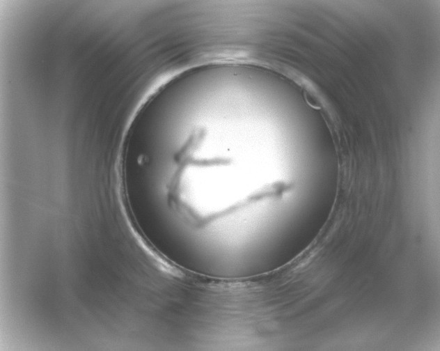 X0000066021432200603171520