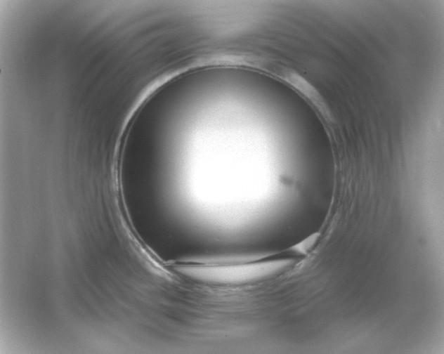 X0000066021436200603171520