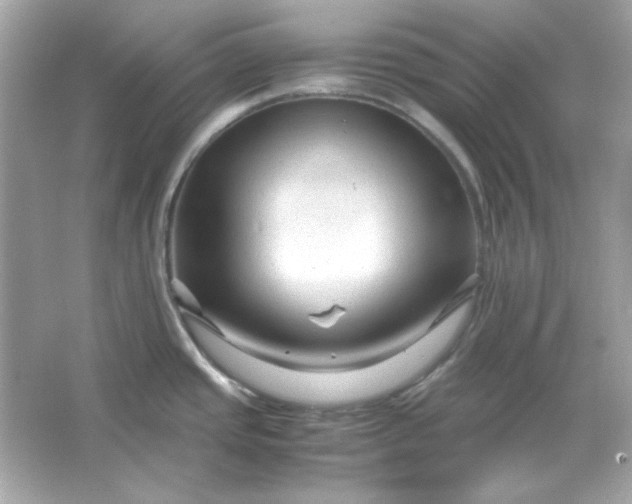 X0000066021437200603171520