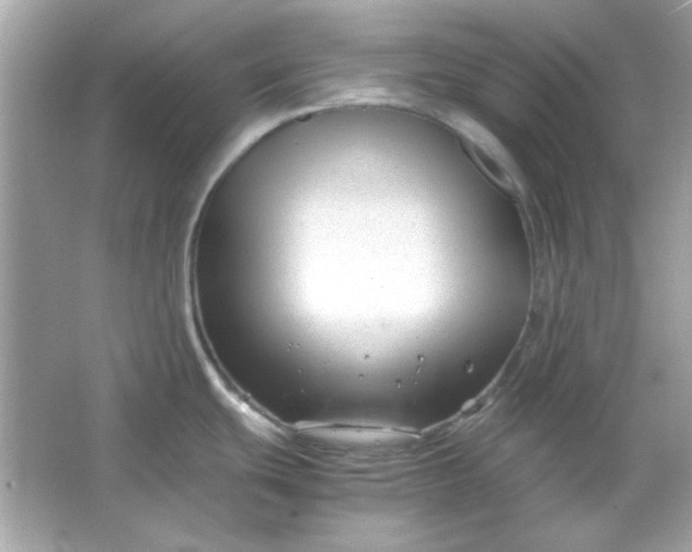 X0000066021439200603171520