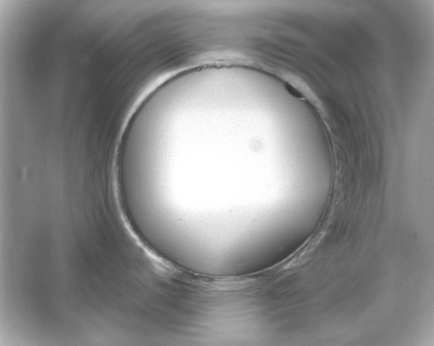 X0000066021440200603171520