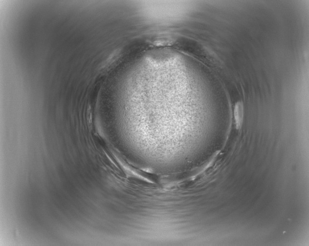 X0000066021443200603171519