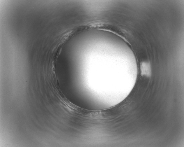 X0000066021444200603171519