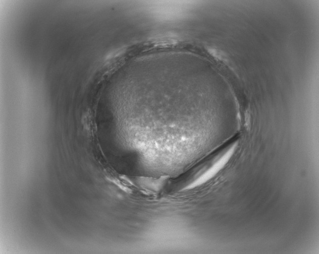 X0000066021445200603171519