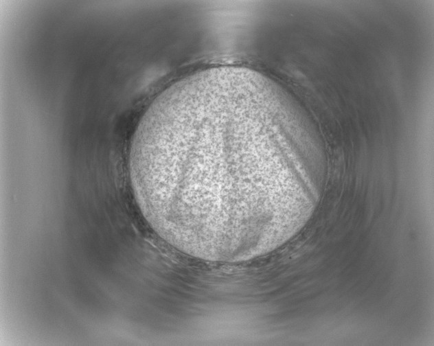 X0000066021446200603171519