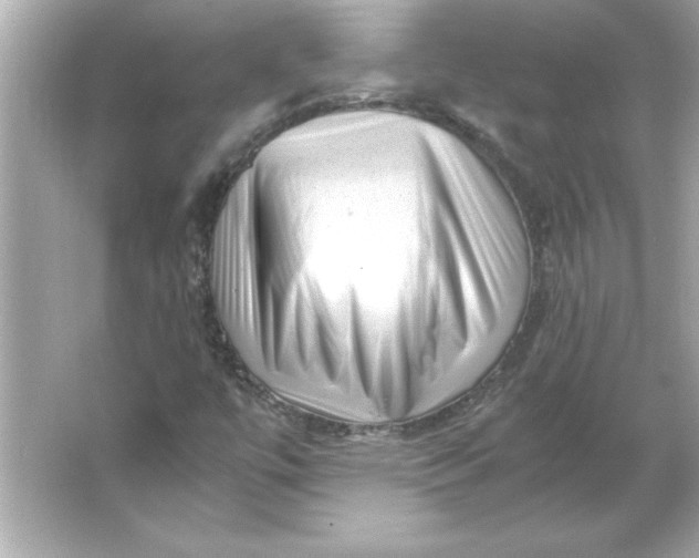 X0000066021447200603171519