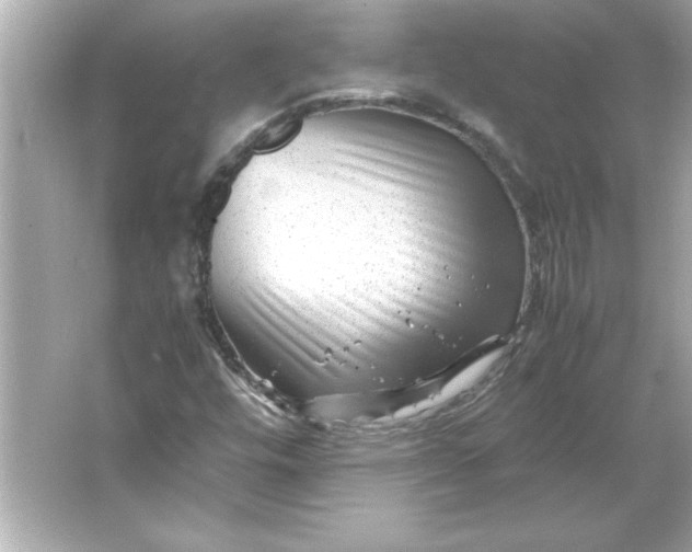 X0000066021448200603171519