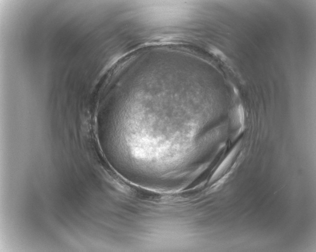 X0000066021449200603171519