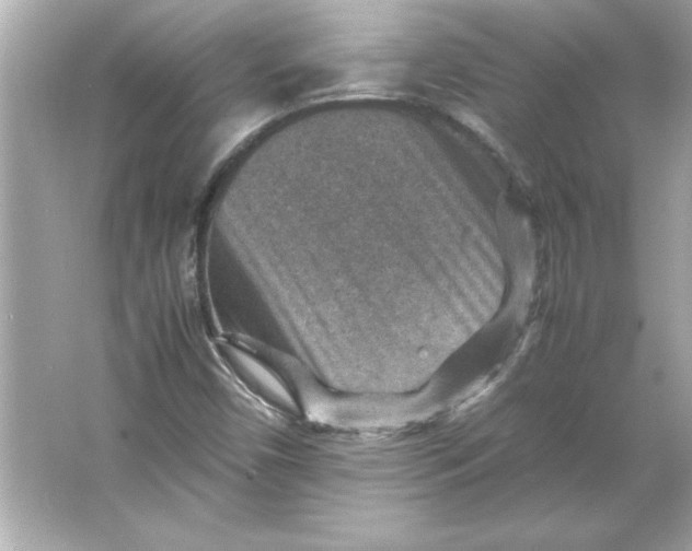 X0000066021450200603171519