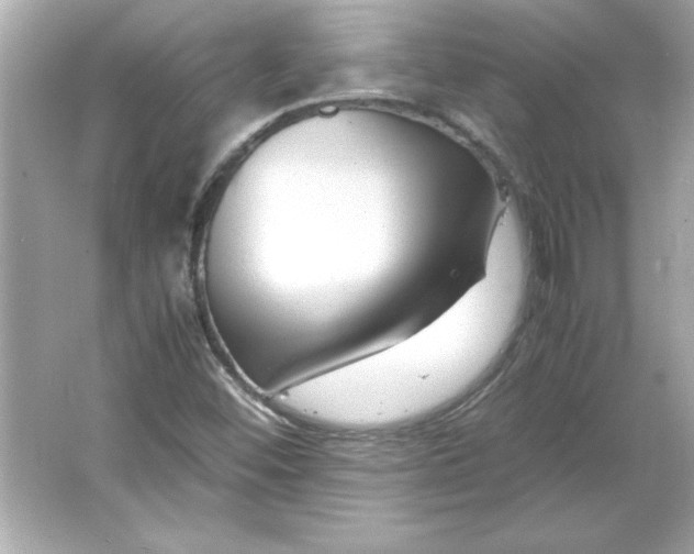 X0000066021452200603171519