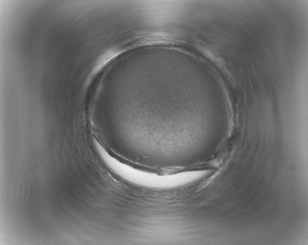 X0000066021453200603171519