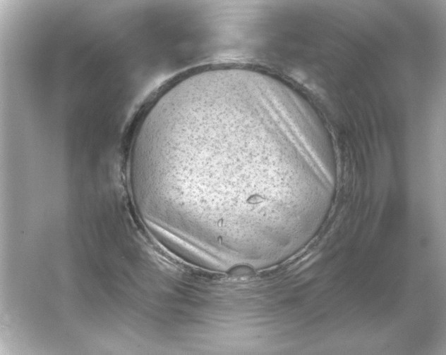 X0000066021454200603171519