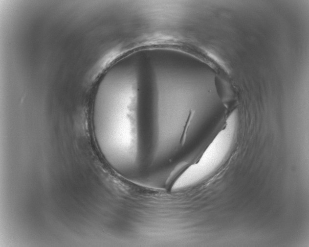 X0000066021455200603171519