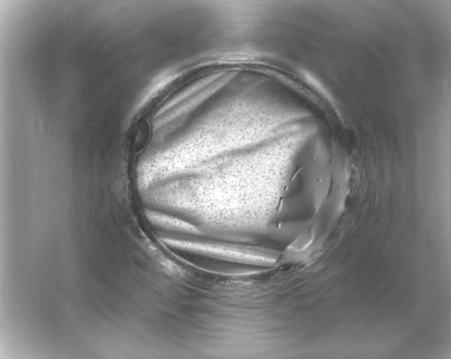 X0000066021456200603171519