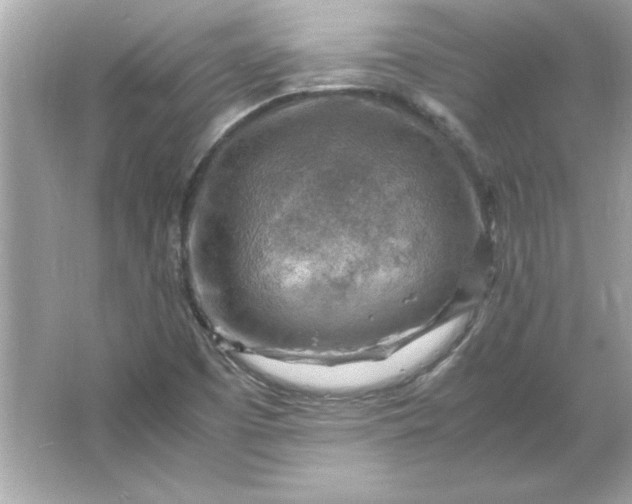 X0000066021457200603171519