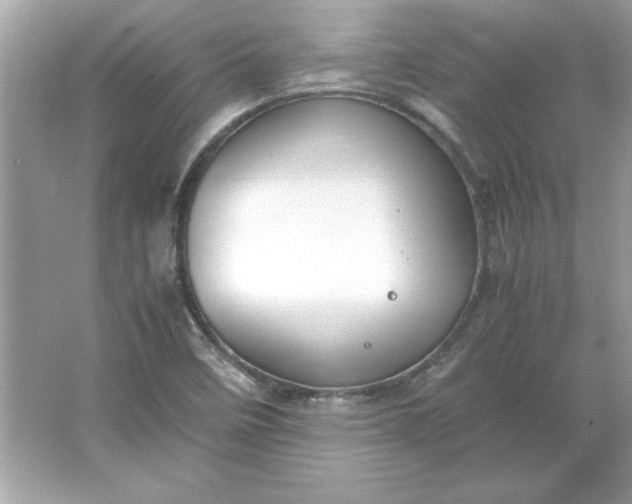 X0000066021458200603171519