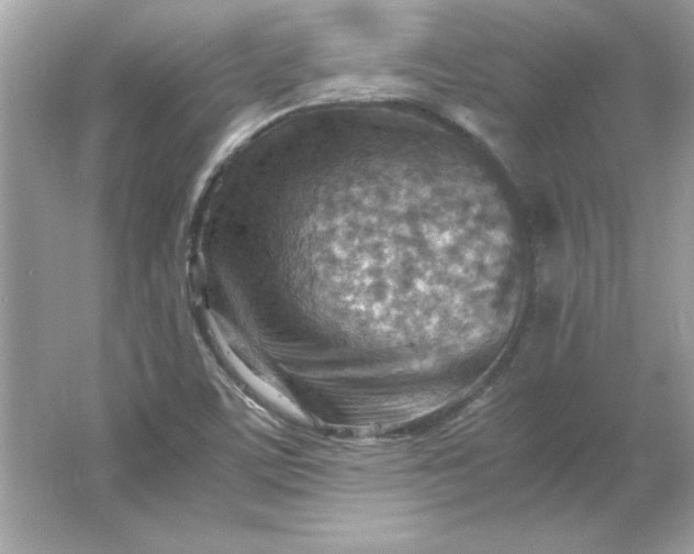 X0000066021459200603171519