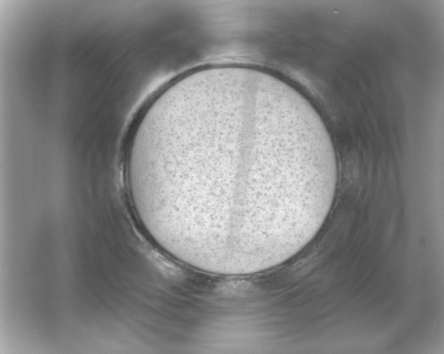 X0000066021462200603171519