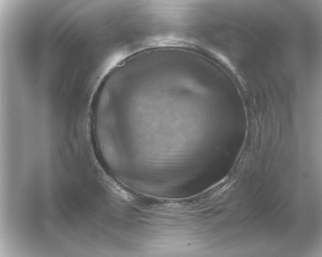 X0000066021463200603171519