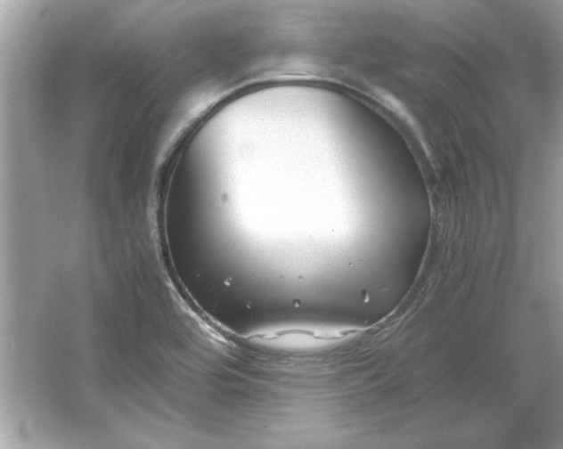 X0000066021464200603171519